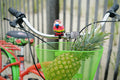 Margaritaville 24" Island Life Multi Speed Girl'S Bike, Coral/Green