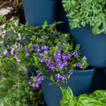 GreenStalk 5 Tier Vertical Planter