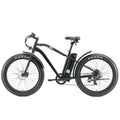Electric Bike with 750W Motor, Electric Bike for Adults, Electric Mountain Bicycle with 48V 14.5ah Battery, 26'' Fat Tires, LCD Display, Front and Rear LED Lights, Professional 7 - Speed Gears
